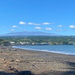 Meet your Posher, Jane